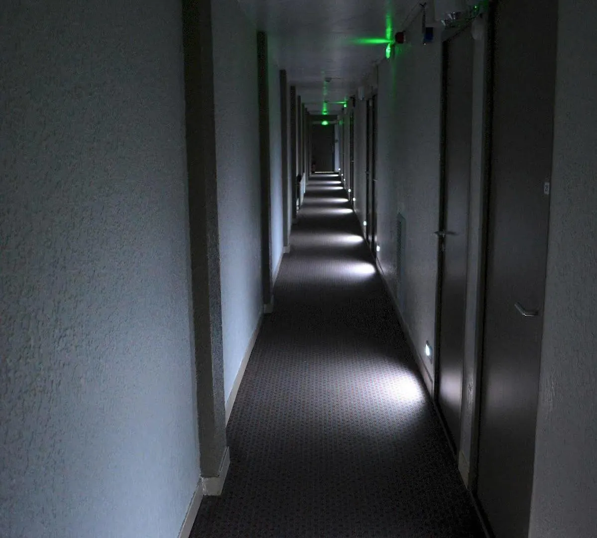 Hotel Hôtel Le Lyon Bron